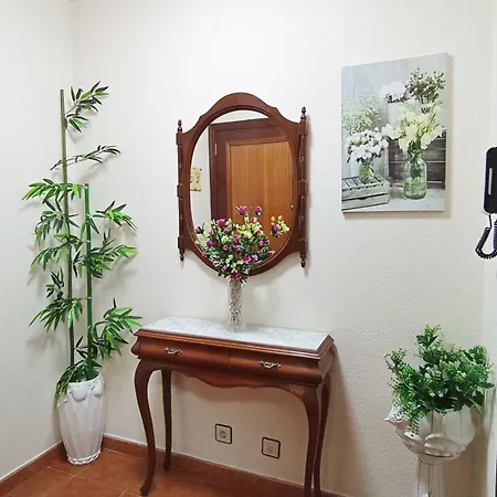 Metamek סנשנשו